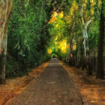 north central phoenix hoa: murphy bridle path